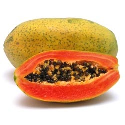 Manufacturers Exporters and Wholesale Suppliers of Papaya Ripening Chambers Pune Maharashtra